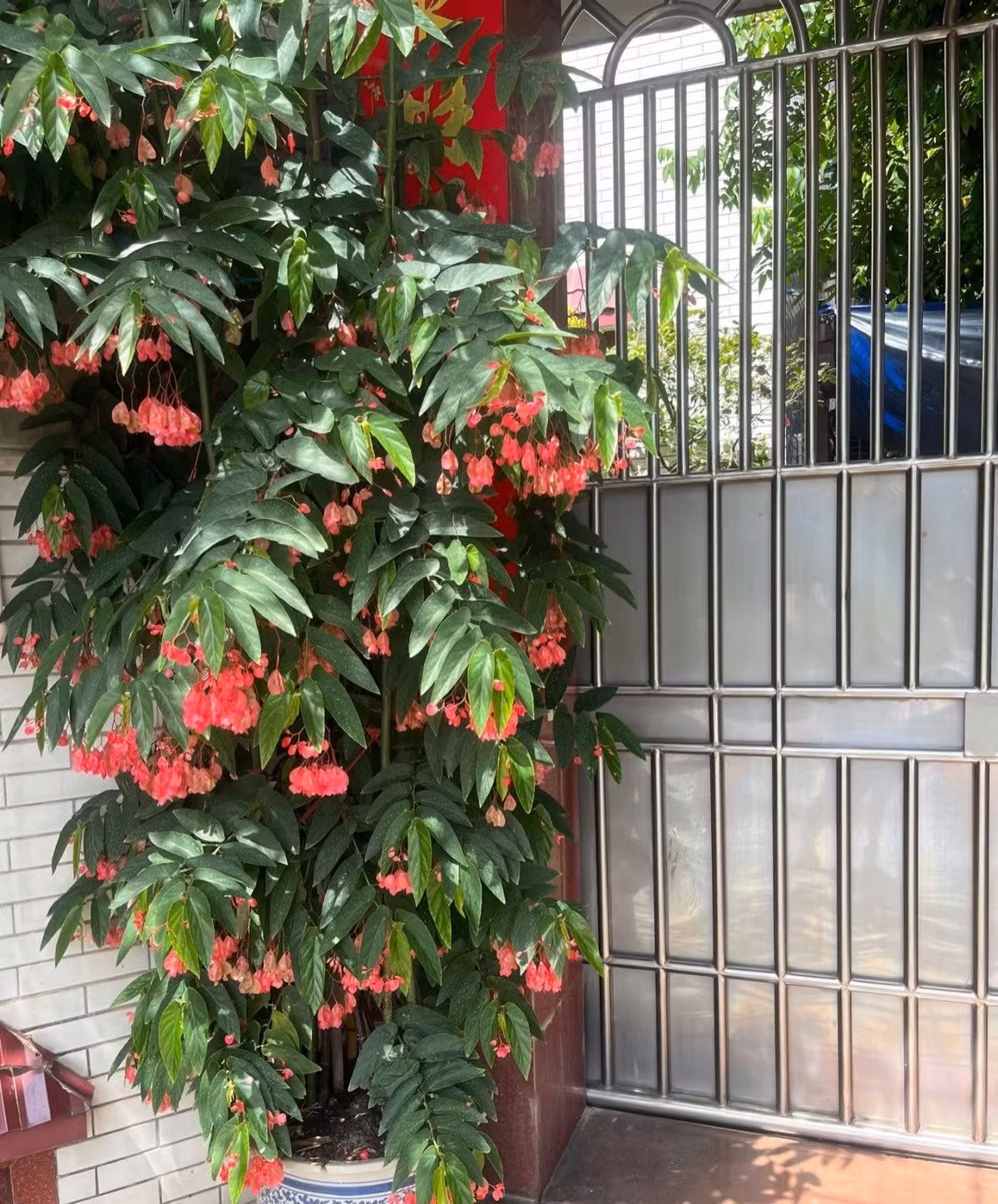 Lá cây cũng là điểm nhấn trang trí, có hình trái tim, cánh thiên thần, cánh dơi, chấm bi hay bạc phủ tuyết – cực kỳ bắt mắt.