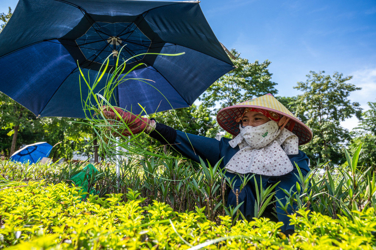 Chị Doãn Trinh (50 tuổi, xã Ứng Hòa) chăm sóc bồn hoa ở nút giao trên đường Hoàng Quốc Việt. "Tôi làm việc từ 13h chiều, nếu không trang bị áo có quạt tản nhiệt và che ô thì chắc không thể trụ nổi dưới thời tiết nắng rát như thế này được", chị Trinh nói.