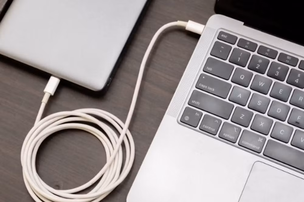 Tuy nhiên, yếu tố quan trọng cần kiểm tra lại là điện áp đầu ra, bởi nếu không tương thích, nguy cơ hư hỏng phần cứng hoặc pin vẫn có thể xảy ra.