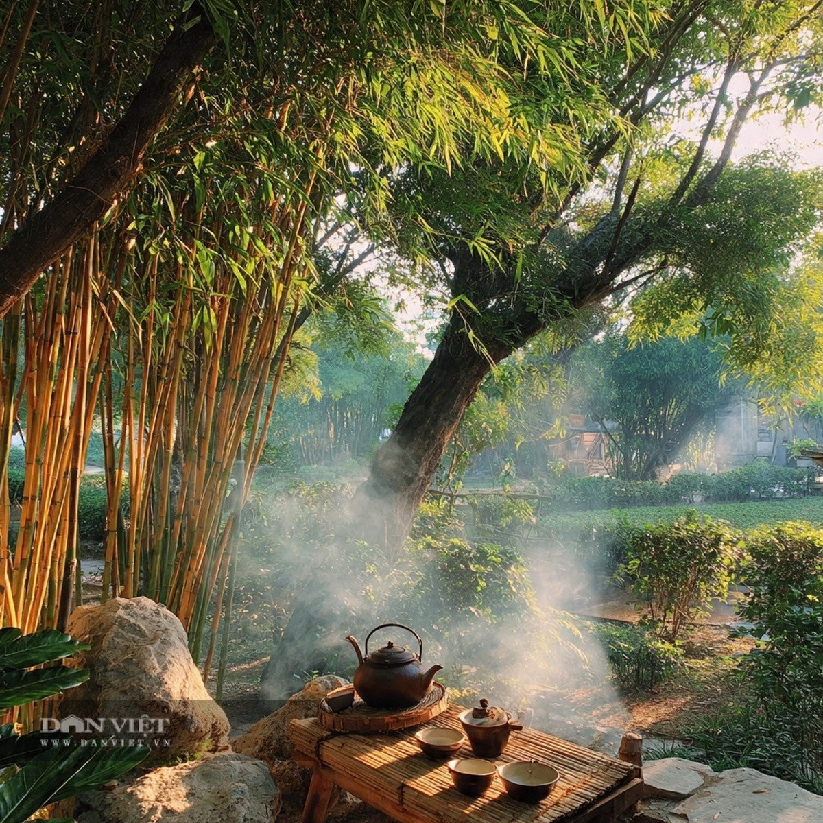 Tuy nhiên, người xưa khuyên không trồng trúc cạnh cửa.