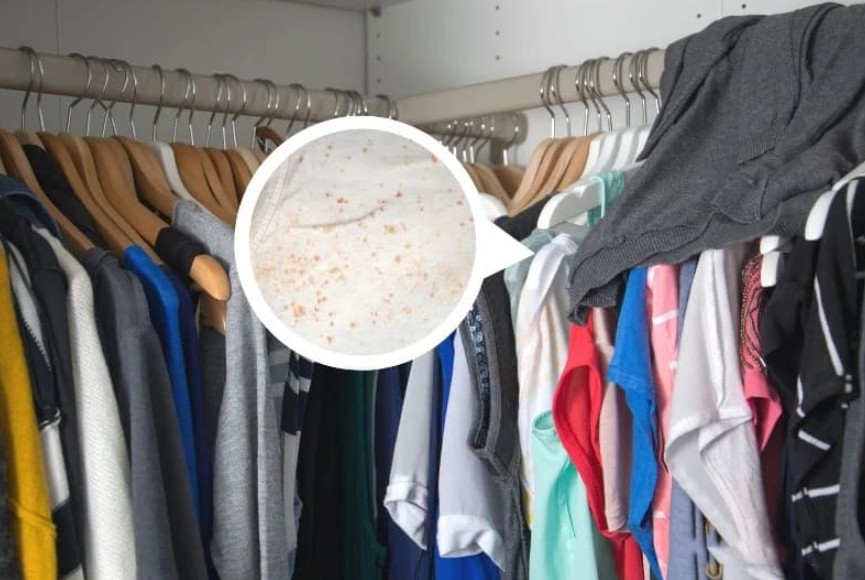 Nguyên nhân là máy chỉ xử lý không khí đi qua nó, bỏ sót các “vùng chết” như tủ đồ hay góc phòng kín.