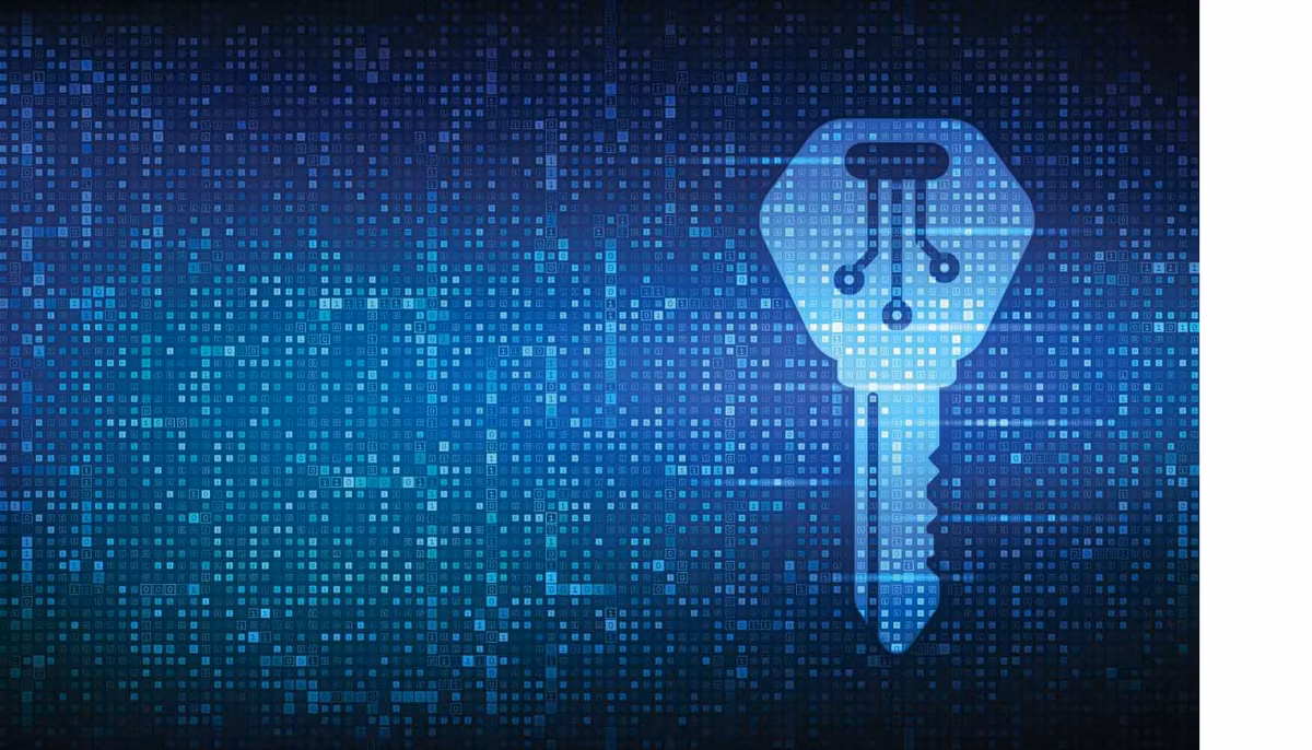 Chính vì thế, private key được coi là “chìa khóa sinh tử” trong thế giới tiền mã hóa. Giữ an toàn cho nó đồng nghĩa với bảo vệ toàn bộ gia tài kỹ thuật số của bạn.