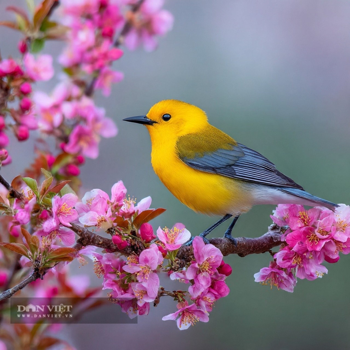 Phước lành người có ngày sinh Âm lịch tận cùng là số 7 này đến từ sự nỗ lực , chứ không phải chờ đợi mà đến. Ảnh minh họa