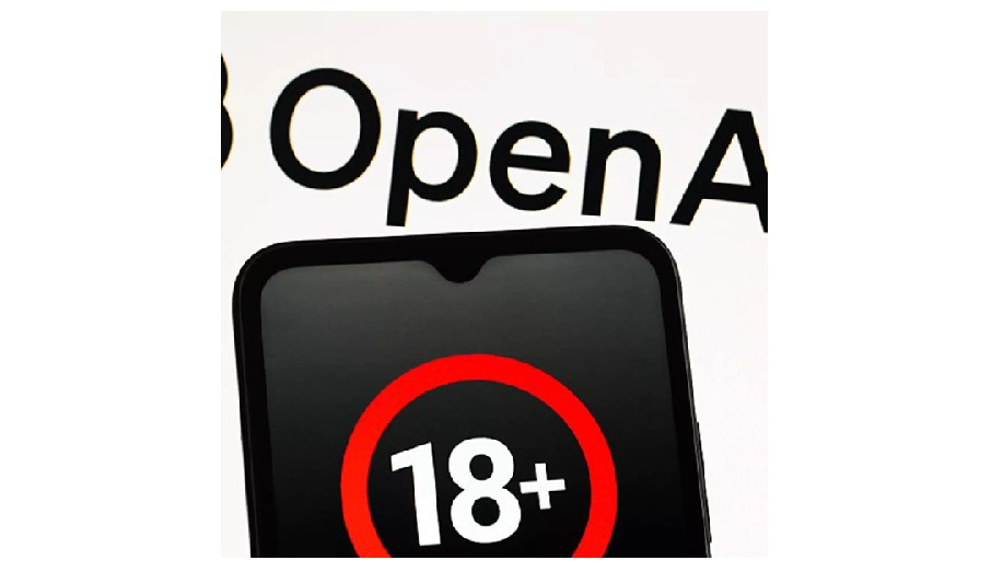 Tuy nhiên, giới chuyên môn lo ngại vì hội đồng không có chuyên gia phòng chống tự tử, trong khi rủi ro vẫn tồn tại.