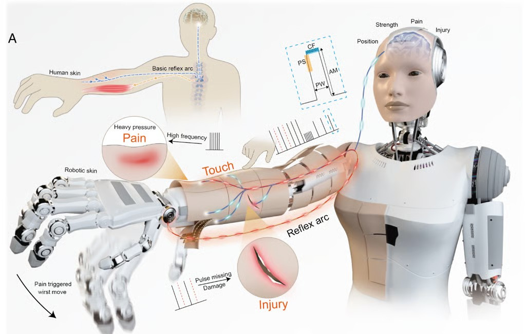Trước đây, robot truyền thống phải gửi toàn bộ dữ liệu cảm biến về bộ xử lý trung tâm, gây ra độ trễ nguy hiểm trong môi trường dân sự.