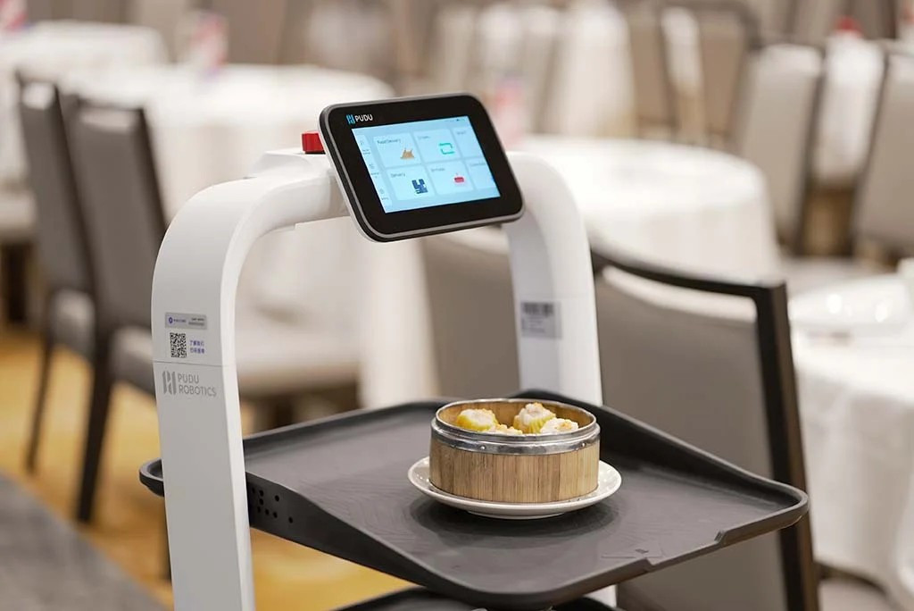 Năm 2017, Pudu tung ra PuduBot – robot đầu tiên trong ngành có khả năng mang nhiều khay thức ăn cùng lúc, nhanh chóng tạo tiếng vang.