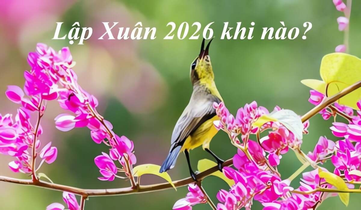 Lập Xuân 2026 và phong thủy: Bí quyết đón năm mới tài lộc , hanh thông - Ảnh 2.Lập Xuân 2026 sẽ vào ngày 4/2/2026 dương lịch
