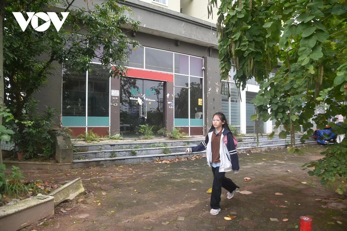 Vỉa hè rêu xanh, cây dại phủ lối đi.