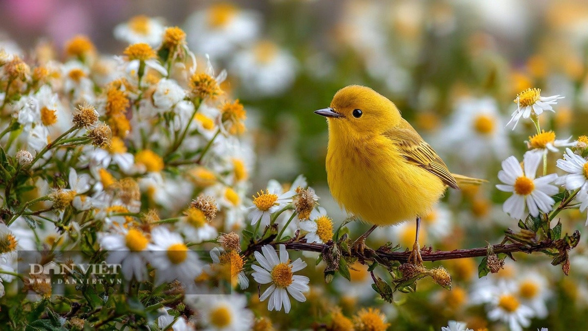 Quan trọng hơn, người có ngày sinh Âm lịch tận cùng bằng số 8 giáo dục con cái sống tiết kiệm. Ảnh minh họa