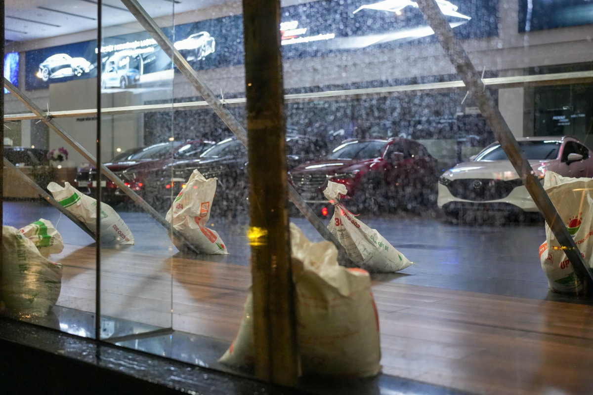 Lúc 6h ngày 22/7, tâm bão số 3 cách Quảng Ninh khoảng 170 km về phía Nam Tây Nam, cách Hải Phòng khoảng 60 km về phía Đông Nam, cách Hưng Yên khoảng 50 km về phía Đông, cách Ninh Bình khoảng 70 km về phía Đông Bắc. Sức gió mạnh nhất vùng gần tâm bão mạnh cấp 9-10 (89-102 km/h), giật cấp 13. Do ảnh hưởng của bão, khu vực Đông Bắc, đồng bằng Bắc Bộ, Thanh Hoá và Nghệ An mưa vừa, có nơi mưa to đến rất to. Người dân có thể theo dõi diễn biến trực tiếp của bão qua một số ứng dụng, nền tảng như Hệ thống Giám sát thiên tai Việt Nam (VNDM), công cụ theo dõi bão Windy.com, dịch vụ dự báo thời tiết Accuweather. Nhiều chuỗi siêu thị lớn đã nhanh chóng triển khai các phương án phòng chống bão và tăng cường nguồn lực để đảm bảo cung ứng hàng hóa thiết yếu cho người dân, đặc biệt tại các trung tâm ở khu vực miền Bắc và Bắc Trung Bộ.