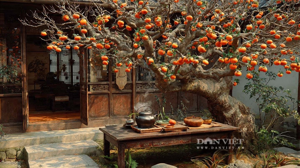 Ba loại cây này là sự kết tinh trí tuệ của người xưa.