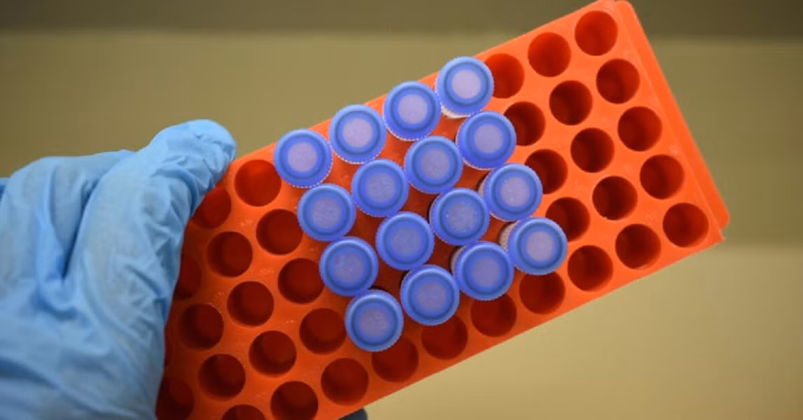 Dự kiến loại máu này sẽ được đưa vào sử dụng thực tế sớm nhất vào năm 2030.