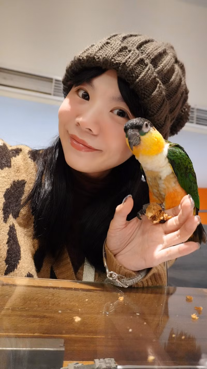 Cộng đồng mạng cho biết ban đầu bị thu hút bởi nhan sắc, nhưng càng xem càng “dính” vì những chú chim quá dễ thương.