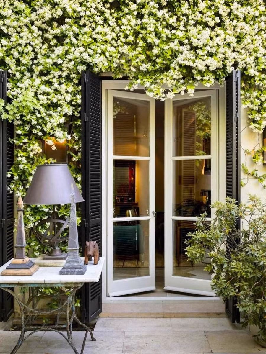 Vừa đẹp, vừa thơm như nước hoa thiên nhiên. Hương hoa ngọt ngào, nhẹ nhàng mà bền bỉ, lan xa trong không gian như mùi nước hoa tự nhiên – không gắt, không nồng mà rất dễ chịu, thư giãn.