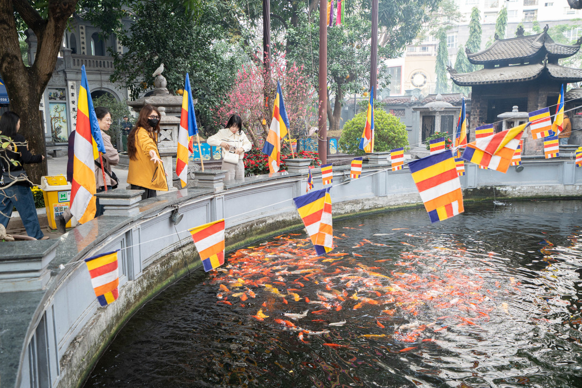Không chỉ thành tâm dâng hương tại chính điện, nhiều bạn trẻ còn chủ động hỗ trợ bê lễ, sắp xếp đồ cúng ngay ngắn hoặc thả thức ăn cho cá trong hồ khuôn viên chùa. Những hành động nhỏ giúp giữ trật tự và nền nếp nơi cửa Phật.