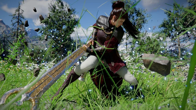 Game kế thừa tinh thần Black Desert Online, mang đến thế giới rộng lớn cùng hàng loạt cơ chế từ chiến đấu, săn bắn đến kinh tế động.