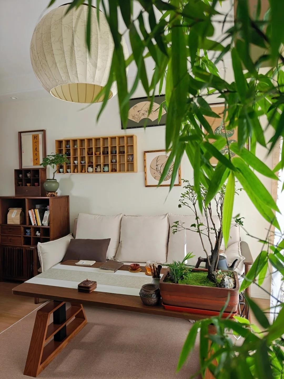 Trong chăm sóc, tre ưa ánh sáng gián tiếp, đất tơi xốp thoát nước tốt, cần tưới theo mùa và duy trì nhiệt độ ấm áp để cây phát triển khỏe mạnh.