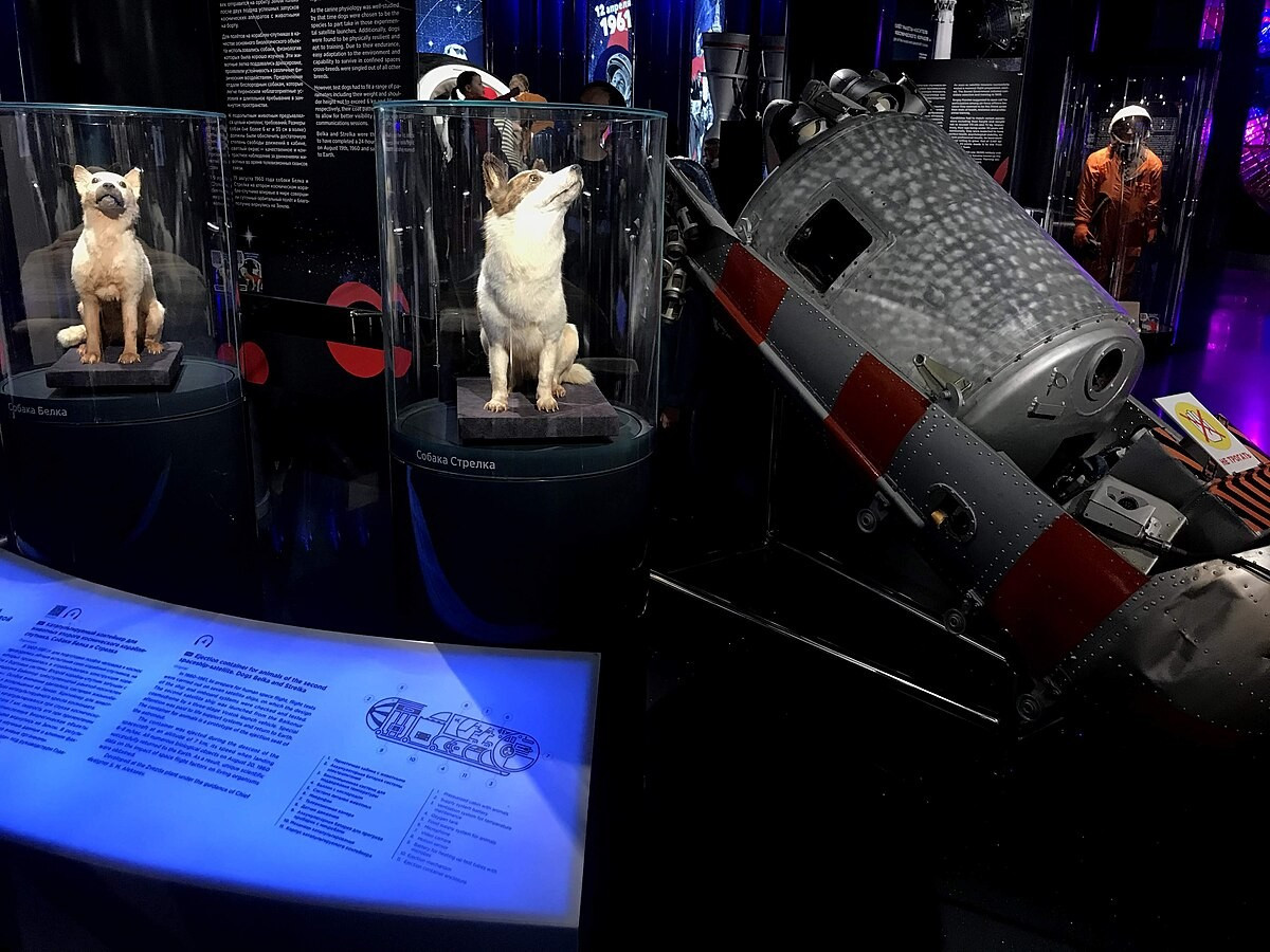 Hơn sáu thập kỷ trôi qua, câu chuyện của Sputnik 5 vẫn là biểu tượng bất tử cho sự dũng cảm và khát vọng chinh phục không gian.