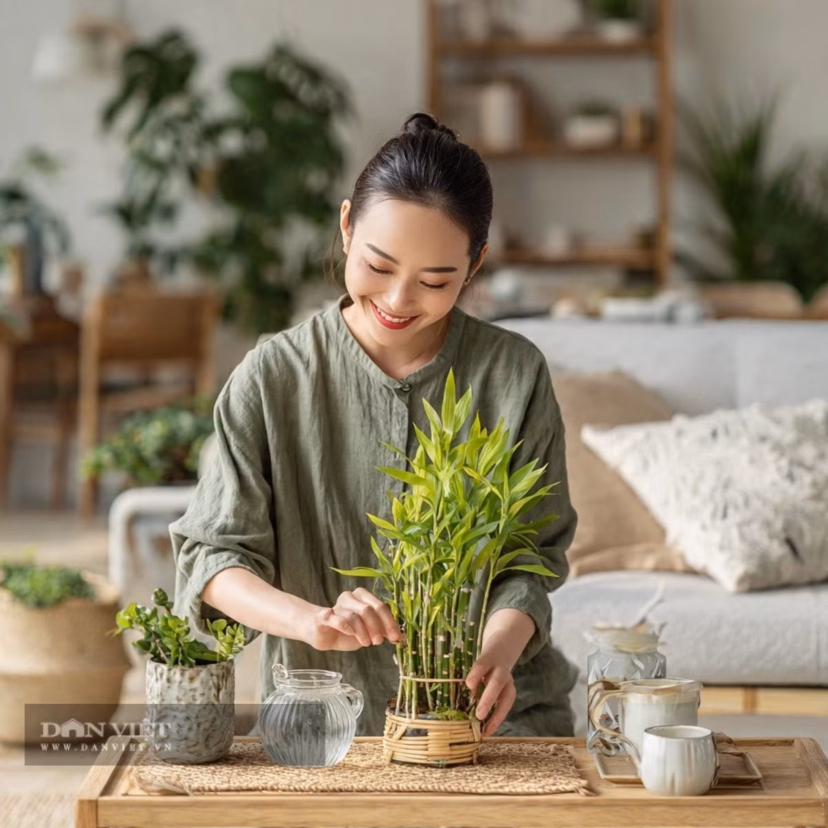 Với dáng đứng thẳng, lá xanh bóng, cây phát tài phát lộc mang đến vẻ thanh tao, tượng trưng cho sự nghiệp thăng tiến và vận khí hanh thông. Đặt ở cửa ra vào, phòng khách hay văn phòng giúp tạo không gian tươi mát và cân bằng sinh khí.