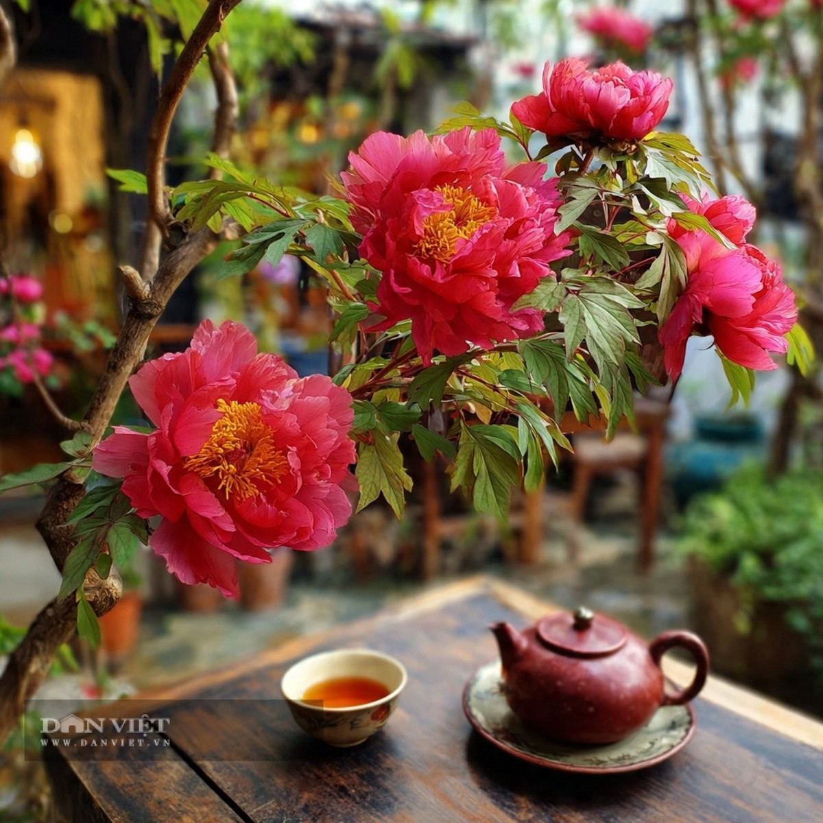 1. Cây cảnh: Mẫu đơn. Mẫu đơn từ xưa đã được xem là biểu tượng của sang trọng, quyền quý và vẻ đẹp cao nhã. Nhờ màu sắc rực rỡ, hình dáng kiêu hãnh và hương thơm quyến rũ, loài hoa này được mệnh danh là “bông hoa phú quý”, tượng trưng cho giàu có và thịnh vượng.