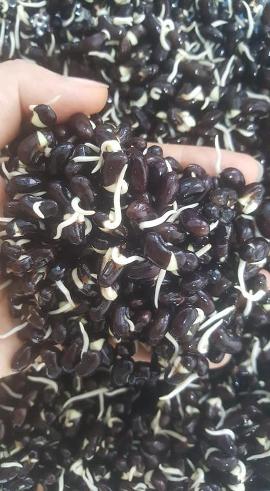 Một loại nước nếu uống hàng ngày, yên tâm đẹp từ trong ra ngoài! - Hình 5 Mot loai nuoc neu uong hang ngay, yen tam dep tu trong ra ngoai!-Hinh-5