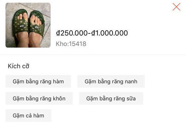 Ngỡ ngàng đôi dép rách chó nhà gặm bán 1 triệu đồng - Hình 2 Ngo ngang doi dep rach cho nha gam ban 1 trieu dong-Hinh-2