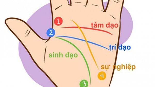Phụ nữ xòe bàn tay ra, biết ngay cuộc đời sinh ra trúng hố vàng - Hình 2 Phu nu xoe ban tay ra, biet ngay cuoc doi sinh ra trung ho vang-Hinh-2