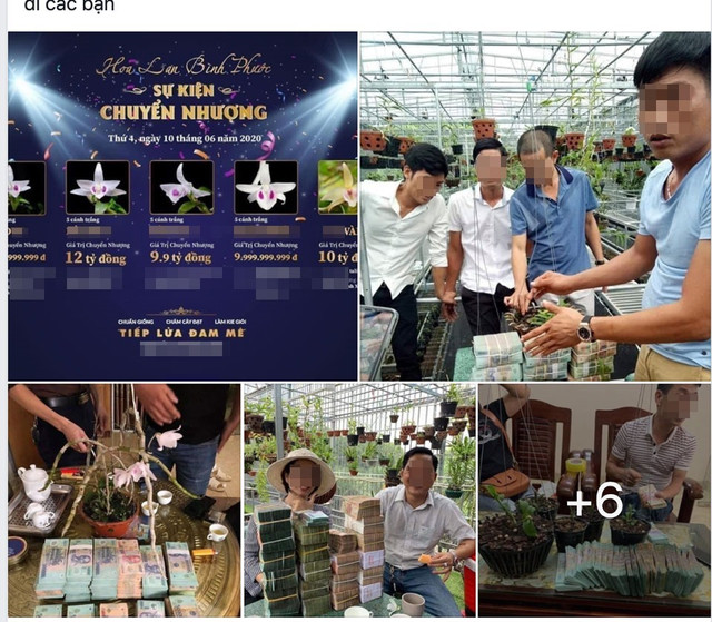 Lan đột biến Bảo Duy, Xuân Phúc đặc biệt gì... giá tới chục tỷ? - Hình 3 Lan dot bien Bao Duy, Xuan Phuc dac biet gi... gia toi chuc ty?-Hinh-3