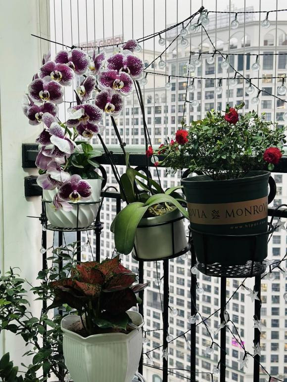 Bà xã nghệ sĩ Công Lý decor góc ban công cực đẹp - Hình 5 Ba xa nghe si Cong Ly decor goc ban cong cuc dep-Hinh-5