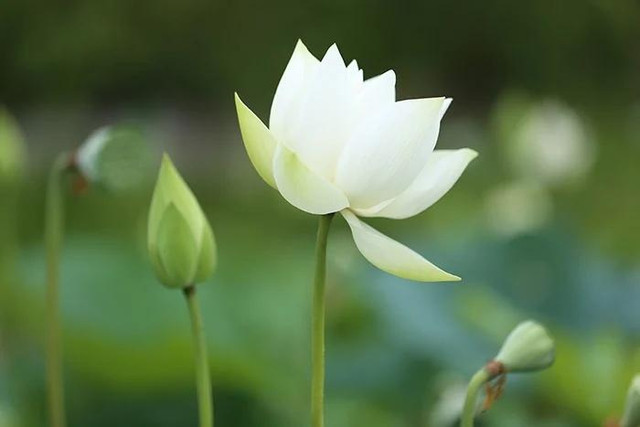 15 cách tích đức không tốn một đồng mang lại phúc báo trọn đời 15 cach tich duc khong ton mot dong mang lai phuc bao tron doi