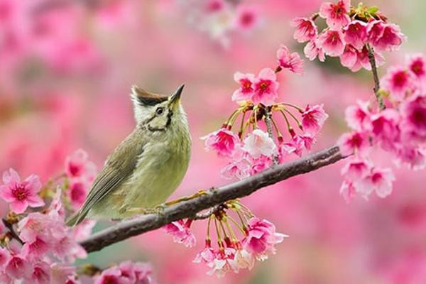 Đàn ông may mắn mới lấy được làm vợ sinh tháng âm lịch này Dan ong may man moi lay duoc lam vo sinh thang am lich nay