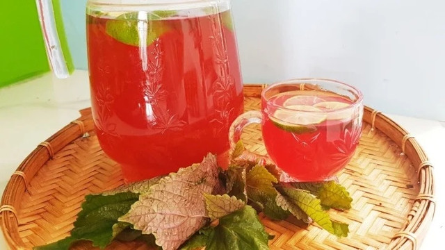 3 thời điểm tốt nhất nên uống lá tía tô ít người biết 3 thoi diem tot nhat nen uong la tia to it nguoi biet