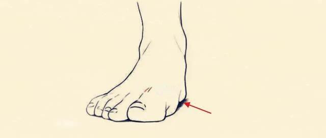 "Chân như đĩa phẳng, nghèo khó chẳng dứt" tiết lộ vận mệnh - Hình 6