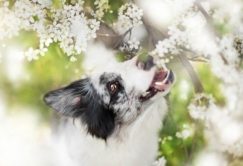 Tháng 4 và 5: Con giáp nào được Ngọc Hoàng độ mạng, đầu tư vào đâu cũng "ăn tiền"? - Hình 2 Thang 4 va 5: Con giap nao duoc Ngoc Hoang do mang, dau tu vao dau cung