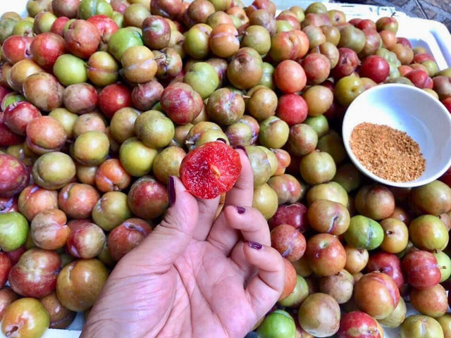 Mận đầu mùa giá 150.000 đồng/kg ế khách Man dau mua gia 150.000 dong/kg e khach