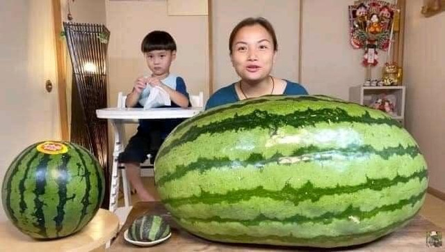Nữ Youtuber người Việt ở Nhật mua dưa hấu khủng nặng 56kg, giá gây sốc Nu Youtuber nguoi Viet o Nhat mua dua hau khung nang 56kg, gia gay soc