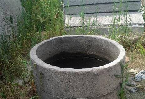 Người xưa khi xây giếng tại sao lại thả một ít cá và rùa vào trong? - Hình 2 Nguoi xua khi xay gieng tai sao lai tha mot it ca va rua vao trong?-Hinh-2