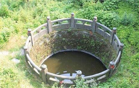 Người xưa khi xây giếng tại sao lại thả một ít cá và rùa vào trong? Nguoi xua khi xay gieng tai sao lai tha mot it ca va rua vao trong?