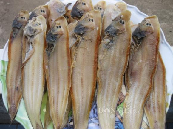 6 loài cá giàu dinh dưỡng không lo hóa chất, đi chợ nên mua - Hình 3 6 loai ca giau dinh duong khong lo hoa chat, di cho nen mua-Hinh-3