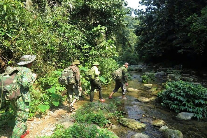 Để bảo vệ “nữ hoàng” rừng già, Khu bảo tồn thiên nhiên Pù Huống đang triển khai nhiều giải pháp như tăng cường tuần tra, tháo gỡ bẫy, giám sát quần thể bằng bẫy ảnh, kiểm soát nguồn gốc nuôi nhốt và đẩy mạnh truyền thông giáo dục cộng đồng về bảo vệ động vật hoang dã.