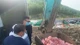 Gia Lai: Tiêu hủy hơn 1 tấn thịt heo và chả ram không rõ nguồn gốc