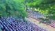 Gần 1,2 triệu học sinh Đồng Nai vào năm học mới 2025-2026