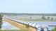 Tây Ninh đầu tư hơn 1.550 tỷ đồng cho 25 dự án thủy lợi