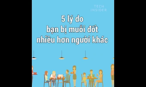 Video: Tại sao bạn bị muỗi đốt nhiều hơn người khác? 