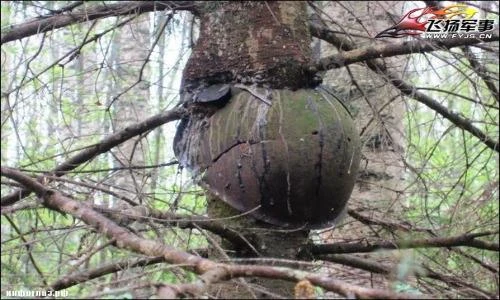 Thời gian “nuốt chửng” quá khứ chiến tranh như thế nào?