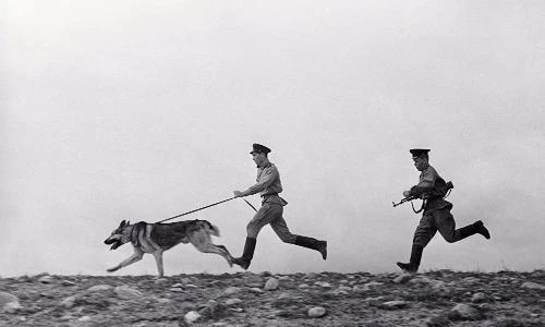 Chùm ảnh: Lực lượng Biên phòng Nga bước sang tuổi 99