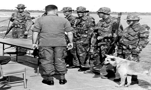 Giải mã đội quân K9 của Mỹ trong chiến tranh Việt Nam