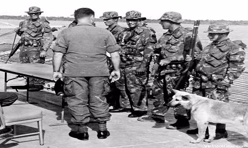 Giải mã đội quân K9 của Mỹ trong chiến tranh Việt Nam