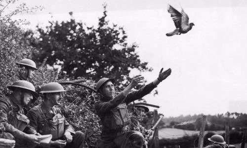 Khổ kinh khủng cách thức liên lạc thời CTTG 1