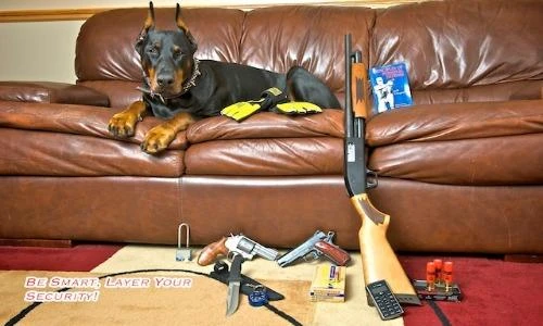 So sánh lượng vũ khí trong dân chúng ở Nga và Mỹ